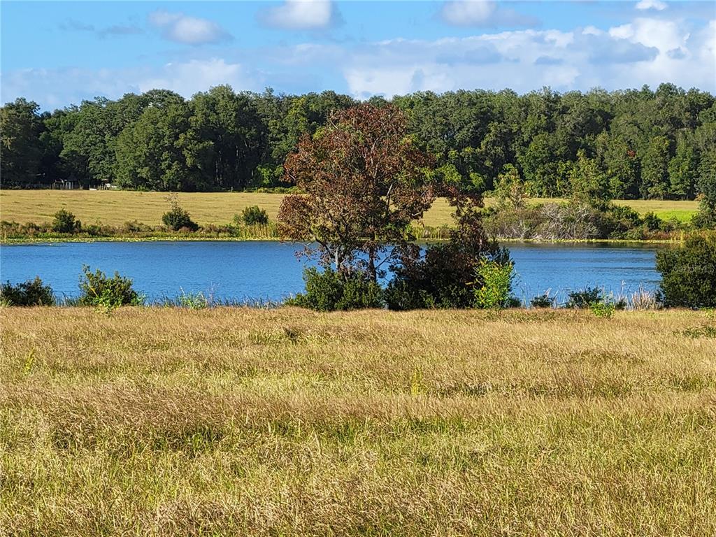 Southeast 74th Lane Road, Unit 6EAST Ocklawaha, FL 32179 - Photo 16 of 44