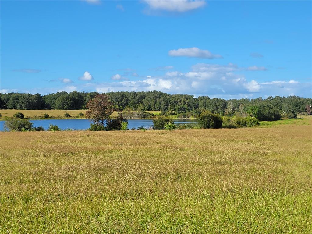 Southeast 74th Lane Road, Unit 6EAST Ocklawaha, FL 32179 - Photo 17 of 44