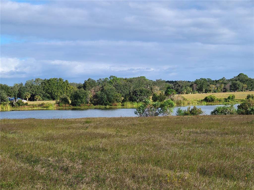 Southeast 74th Lane Road, Unit 6EAST Ocklawaha, FL 32179 - Photo 19 of 44