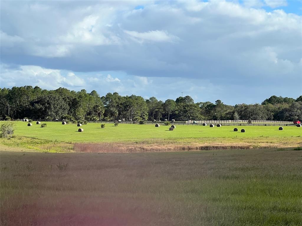 Southeast 74th Lane Road, Unit 6EAST Ocklawaha, FL 32179 - Photo 29 of 44