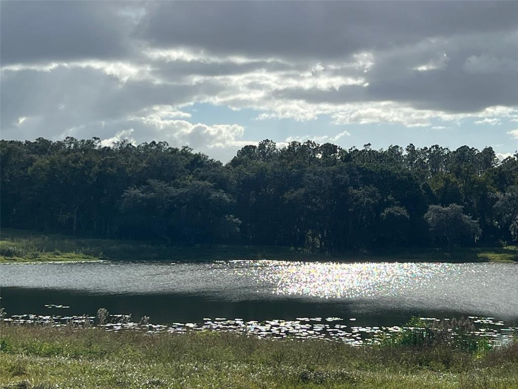 Southeast 74th Lane Road, Unit 6EAST Ocklawaha, FL 32179 - Photo 36 of 44