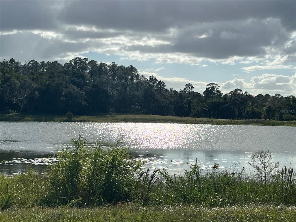 Southeast 74th Lane Road, Unit 6EAST Ocklawaha, FL 32179 - Photo 38 of 44