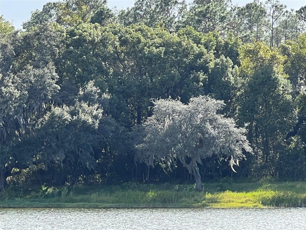 Southeast 74th Lane Road, Unit 6EAST Ocklawaha, FL 32179 - Photo 39 of 44