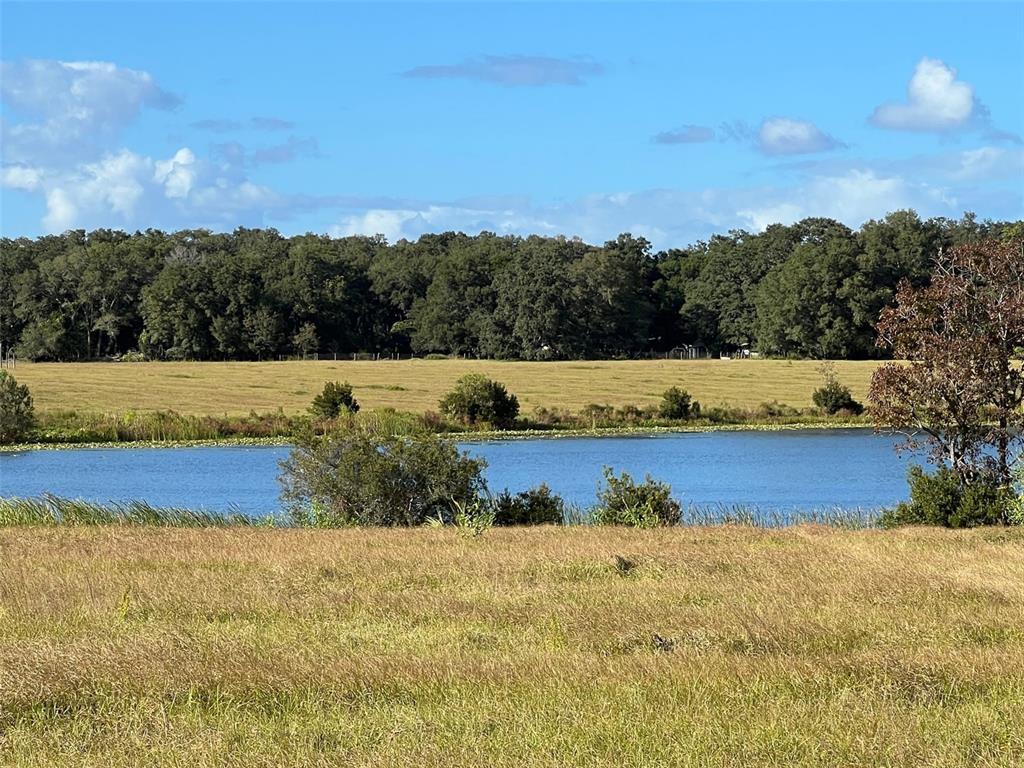 Southeast 74th Lane Road, Unit 6EAST Ocklawaha, FL 32179 - Photo 40 of 44