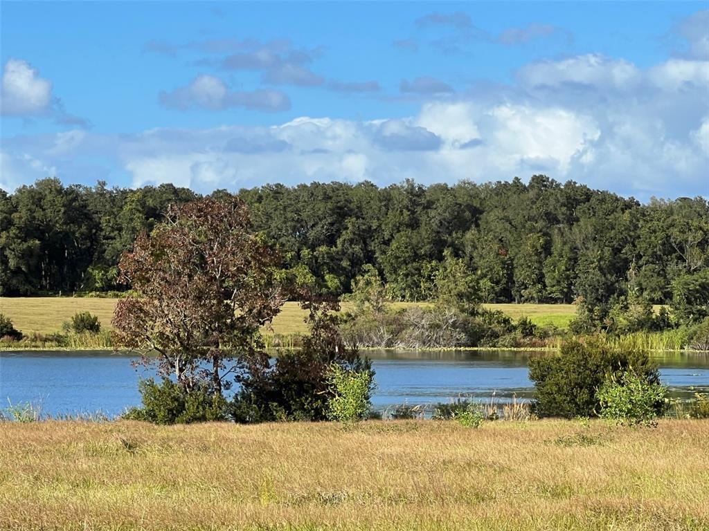 Southeast 74th Lane Road, Unit 6EAST Ocklawaha, FL 32179 - Photo 41 of 44
