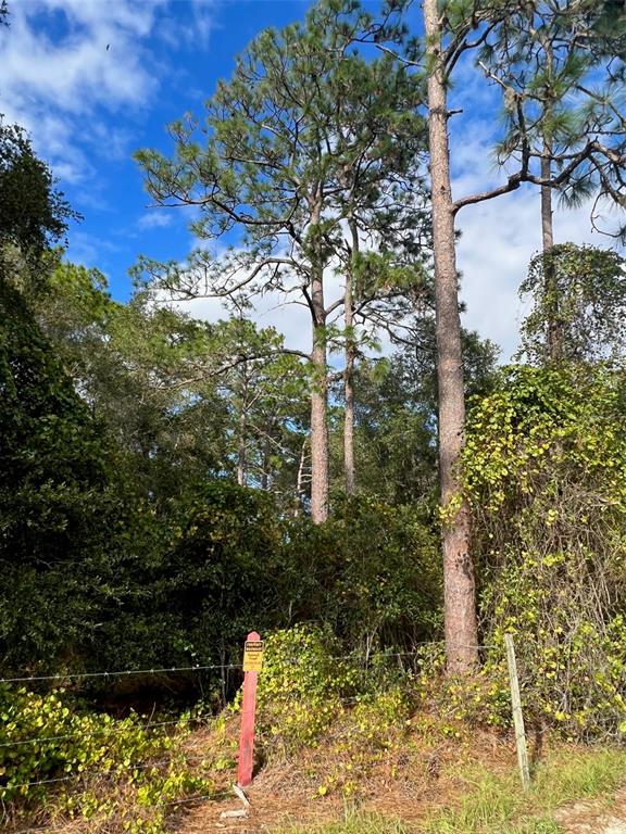 Southeast 74th Lane Road, Unit 6EAST Ocklawaha, FL 32179 - Photo 44 of 44