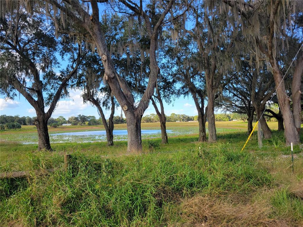 Southeast 74th Lane Road, Unit 6EAST Ocklawaha, FL 32179 - Photo 8 of 44