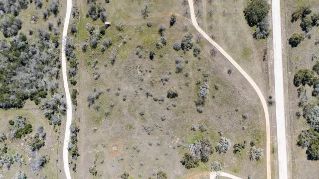 a view of a dry yard with trees in the background