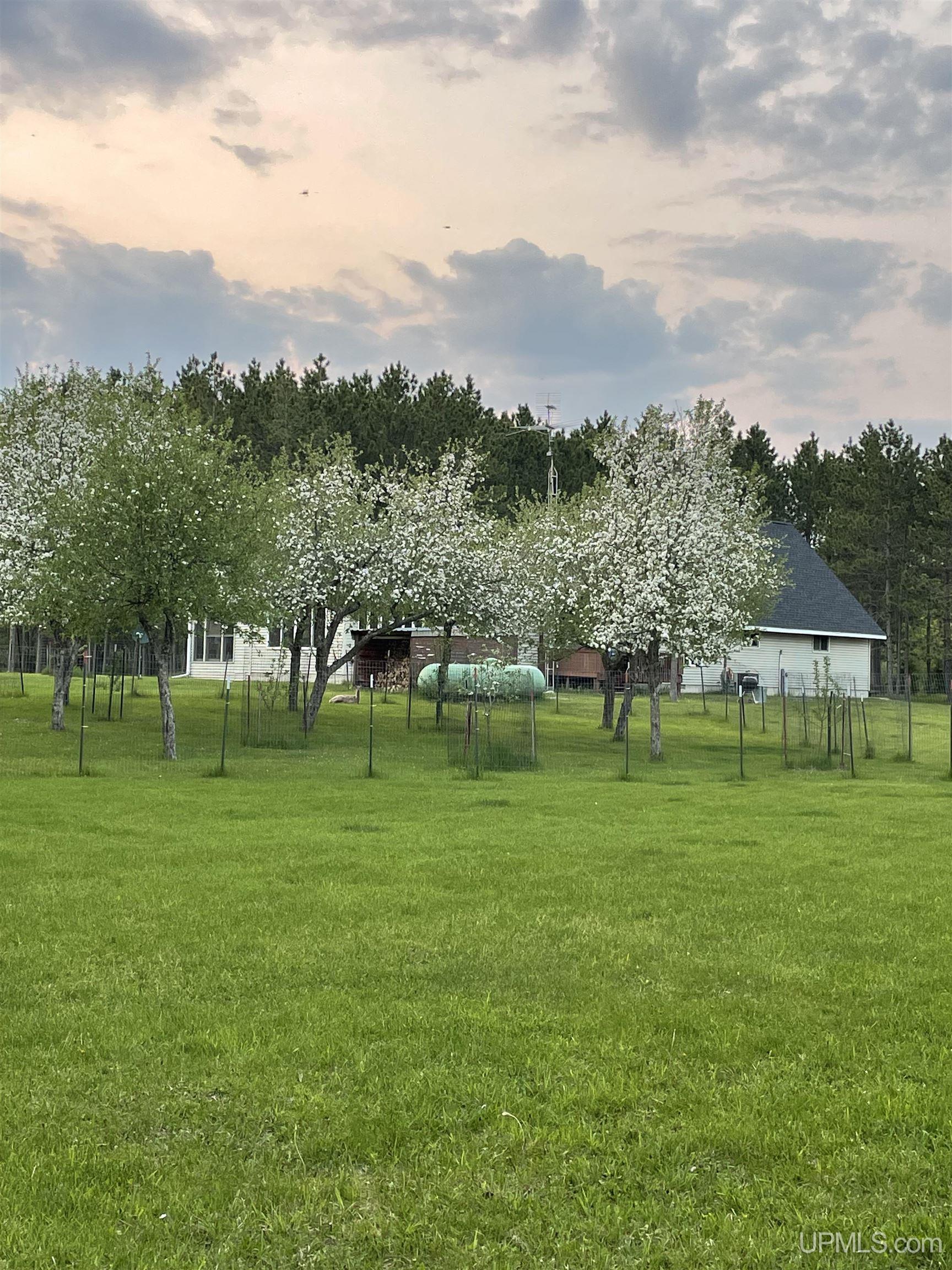 W2588 31 Lane Daggett, MI 49821 - Photo 19 of 58