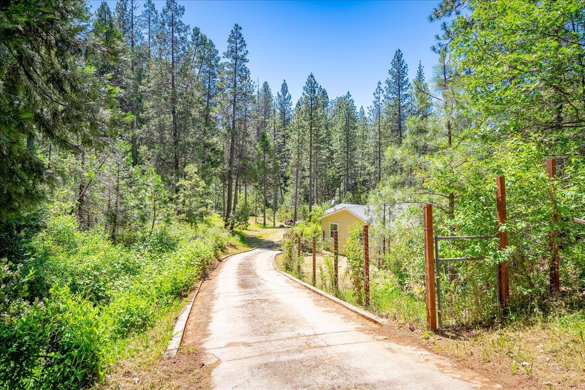 21819 Todd Valley Road Foresthill, CA 95631 - Photo 35 of 37