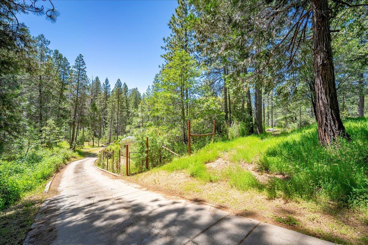 21819 Todd Valley Road Foresthill, CA 95631 - Photo 36 of 37