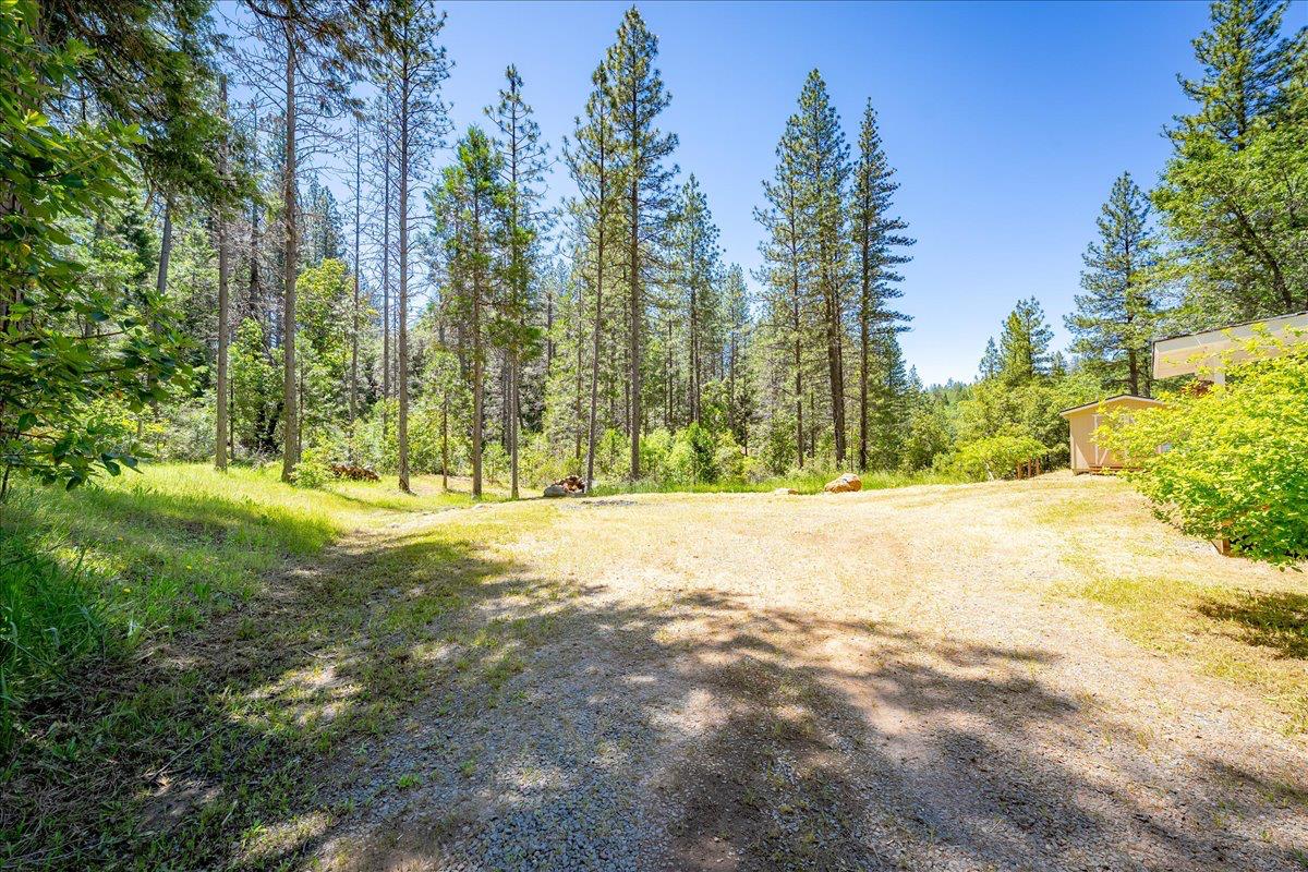 21819 Todd Valley Road Foresthill, CA 95631 - Photo 4 of 37
