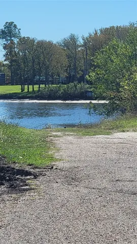 a garden with trees in front of it