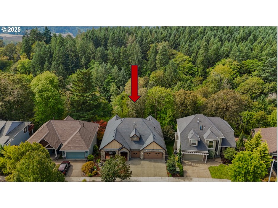 3296 Ridge Pointe Drive Forest Grove, OR 97116 - Photo 41 of 48 Drone View/UAV