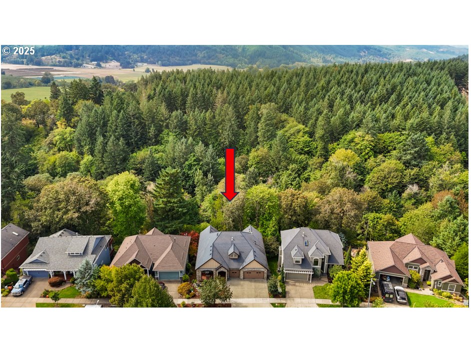 3296 Ridge Pointe Drive Forest Grove, OR 97116 - Photo 42 of 48 Drone View/UAV