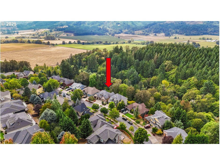 3296 Ridge Pointe Drive Forest Grove, OR 97116 - Photo 43 of 48 Drone View/UAV