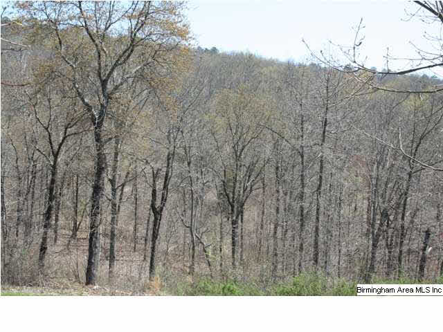 0 Silley Dean Road Northwest, Unit 277 AC Pinson, AL 35126 - Photo 17 of 19