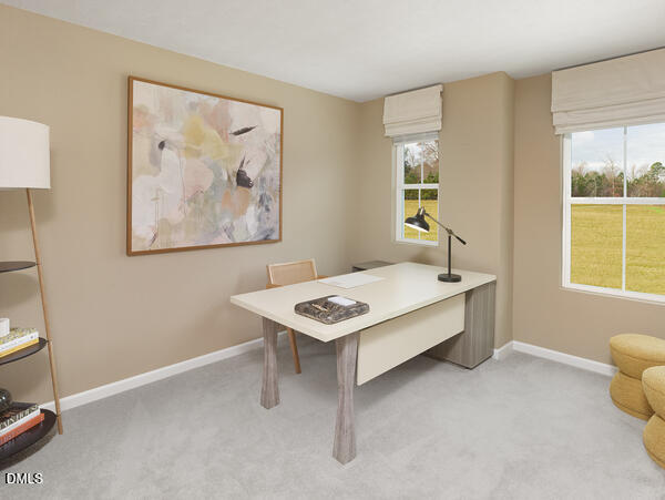 1620 Mirth Court Rolesville, NC 27571 - Photo 18 of 28