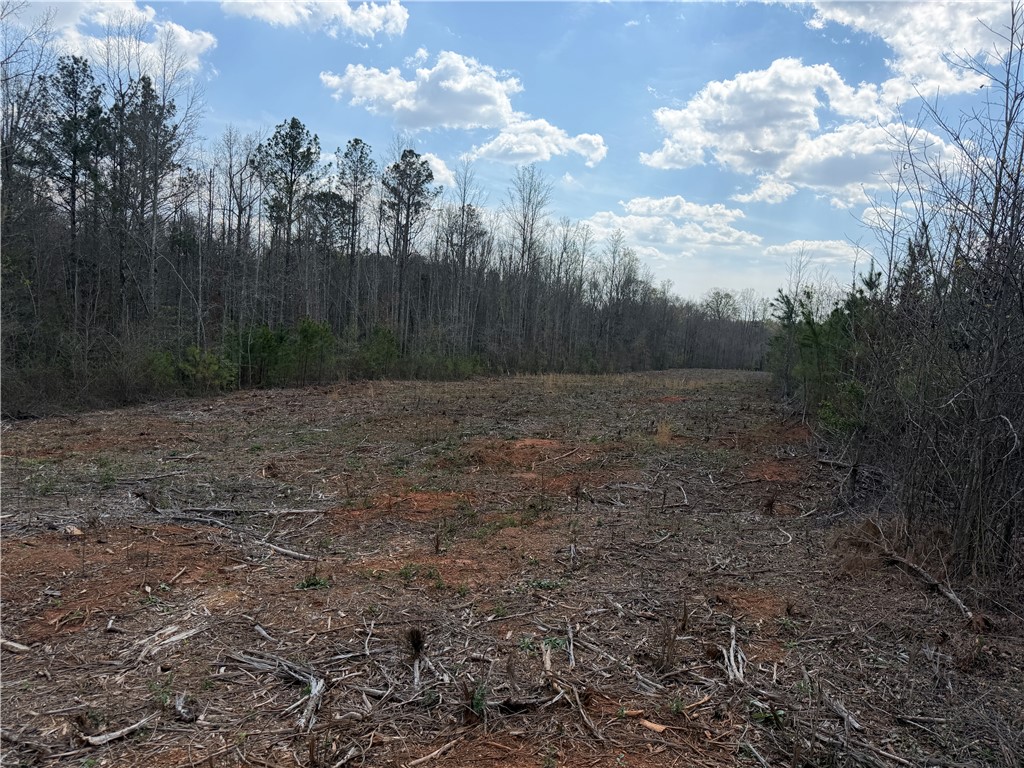 Lot 17 Slabtown Road Pendleton, SC 29670 - Photo 2 of 3 Expansive cleared lot ready for development, bordered by lush natural woodland.