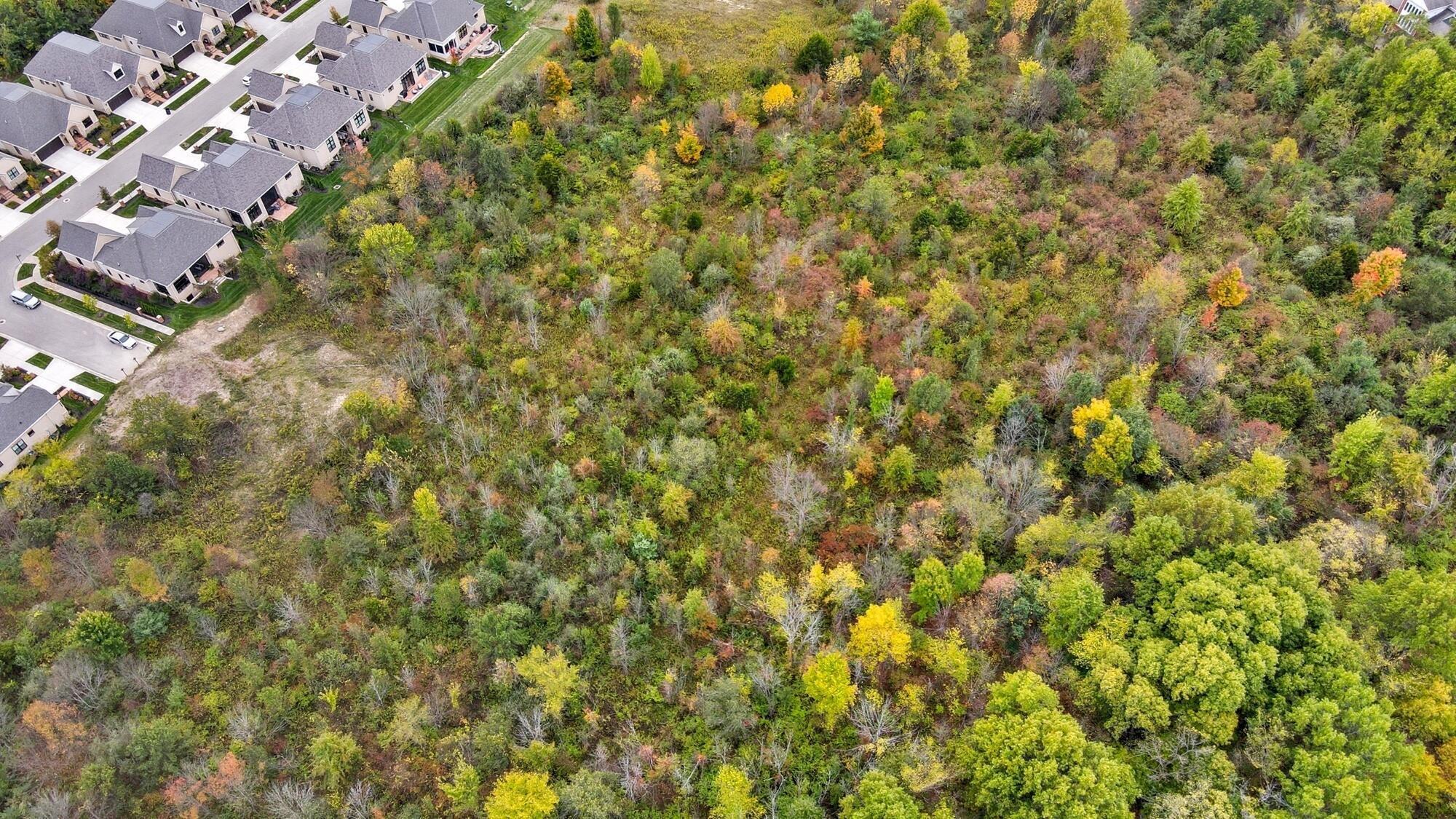 0 Jerome Road Dublin, OH 43016 - Photo 9 of 16