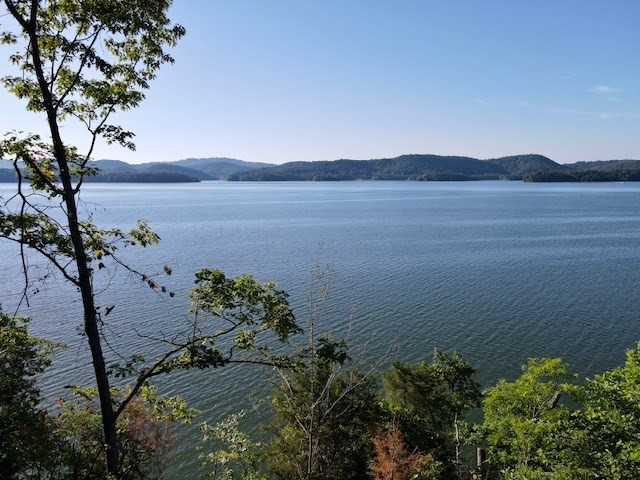 293 Whipperwill Lane Rutledge, TN 37861 - Photo 18 of 20