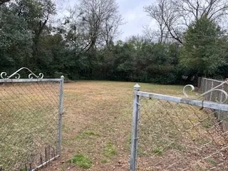 a view of a wooden floor and a trees