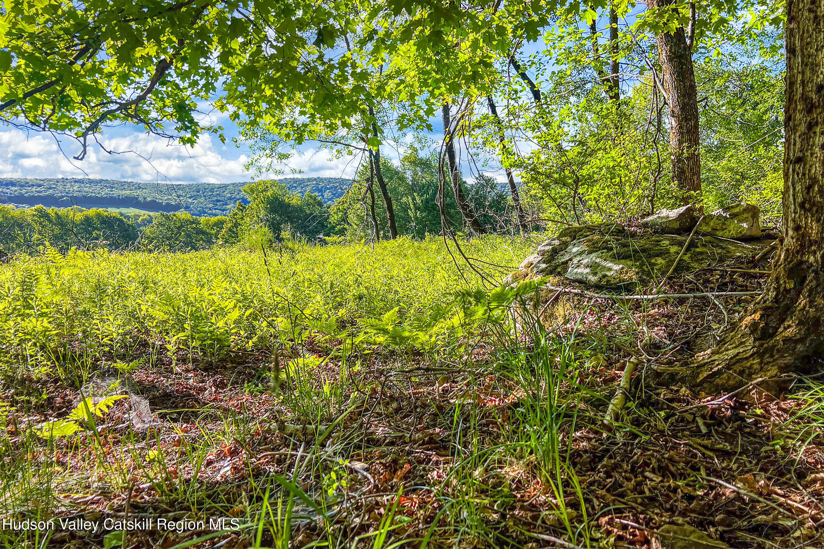 0 Frank Slawson Road Oneonta, NY 13820 - Photo 25 of 29 IMG_3437-Edit