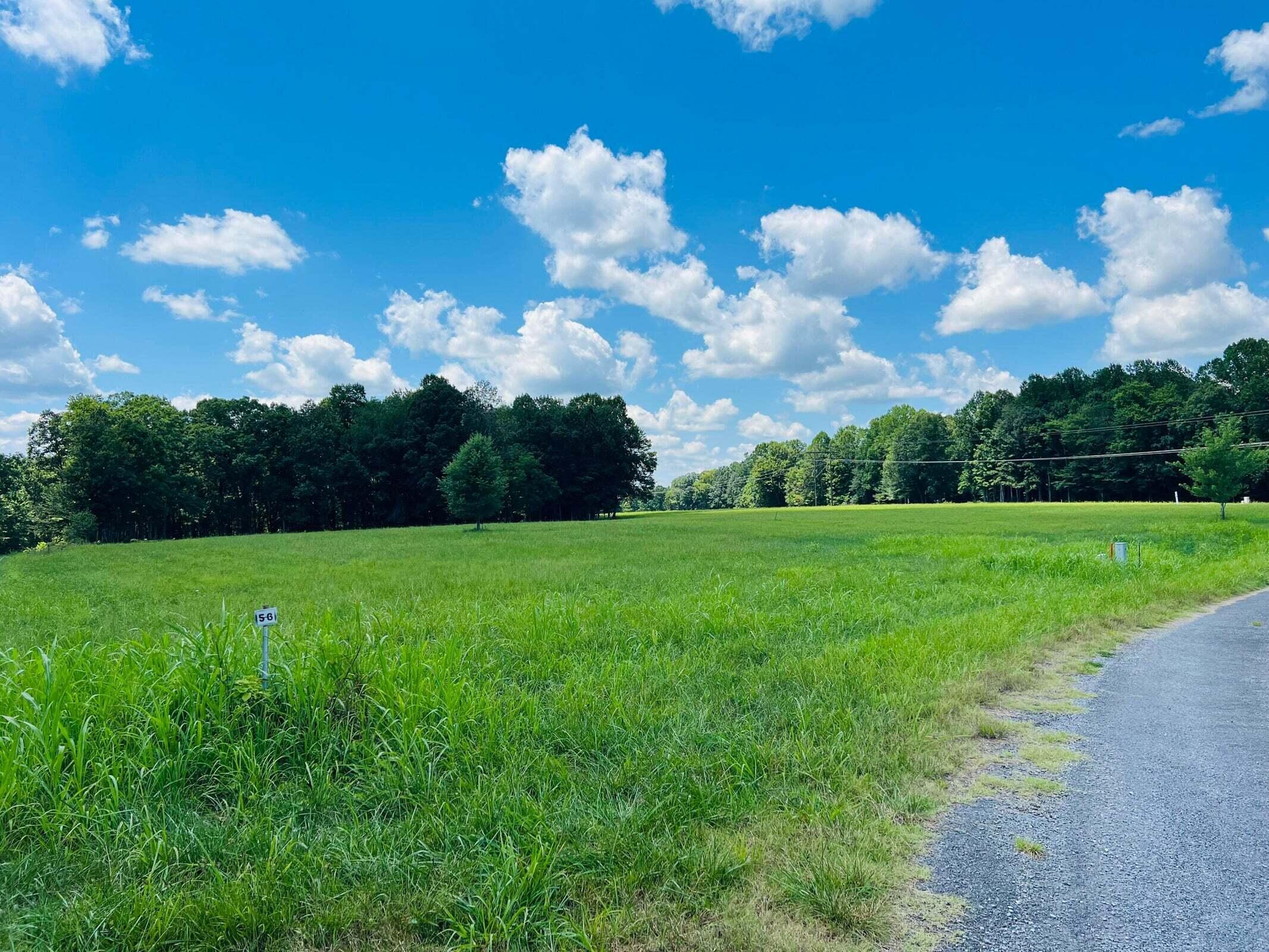 162 Dockery Road Russell Springs, KY 42642 - Photo 4 of 17 20230802180453752152000000-o