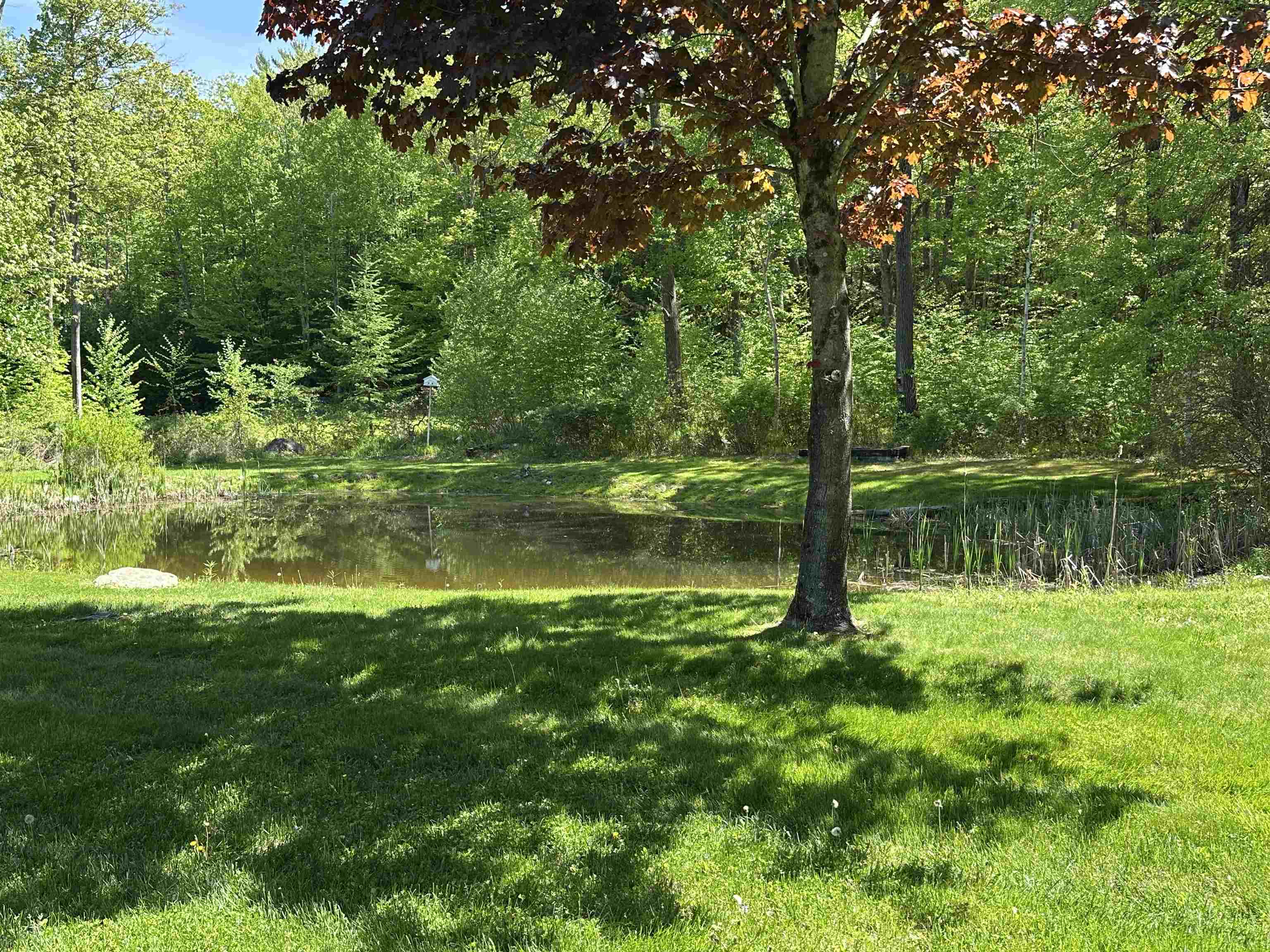 201 Gunn Road Keene, NH 03431 - Photo 53 of 60