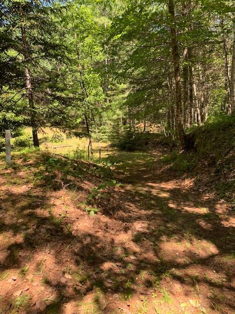 96 Lane Road Deblois, ME 04622 - Photo 11 of 14 96 Lane Photo 7 copy