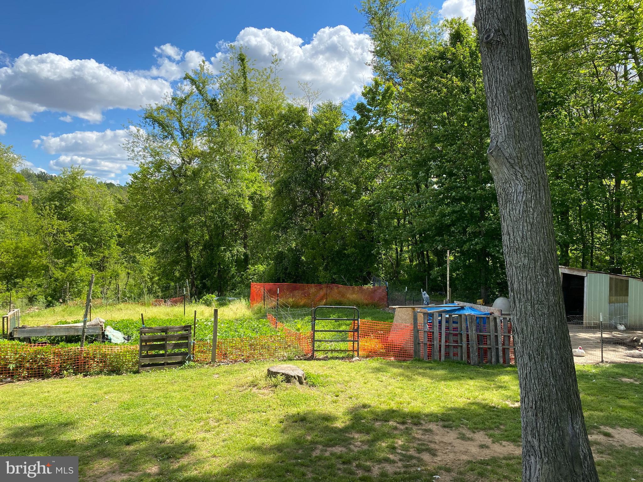 2989 Tommys Road Brogue, PA 17309 - Photo 10 of 28