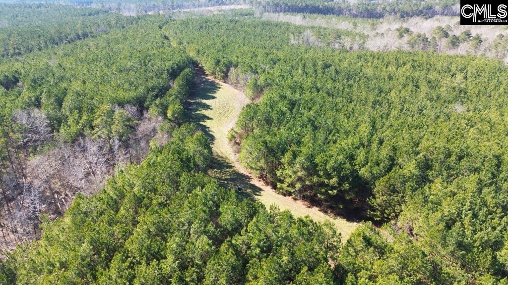 River Road Winnsboro, SC 29180 - Photo 6 of 20