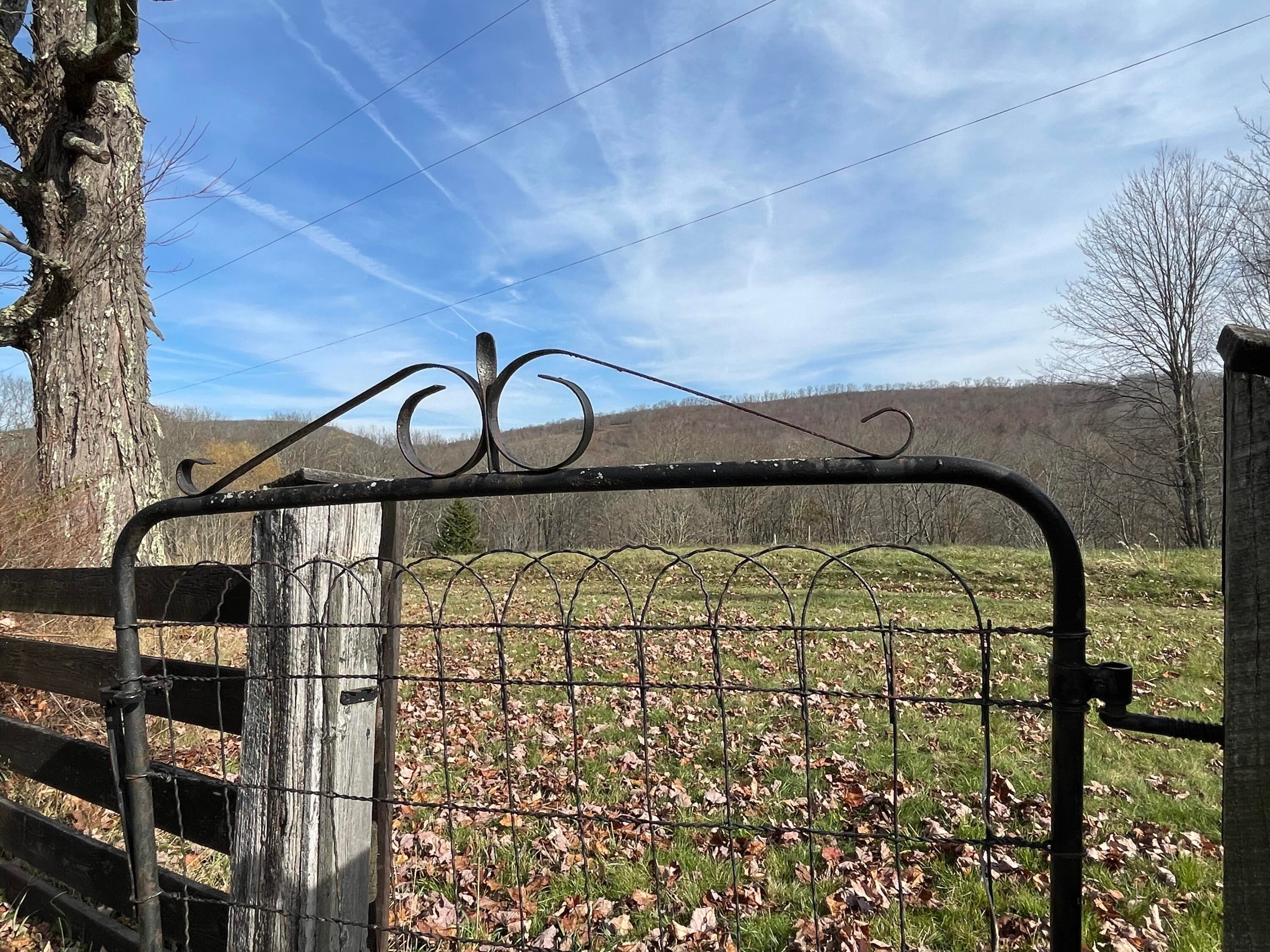 12593 Back Mountain Road Durbin, WV 26264 - Photo 21 of 84 Gallery Image 21