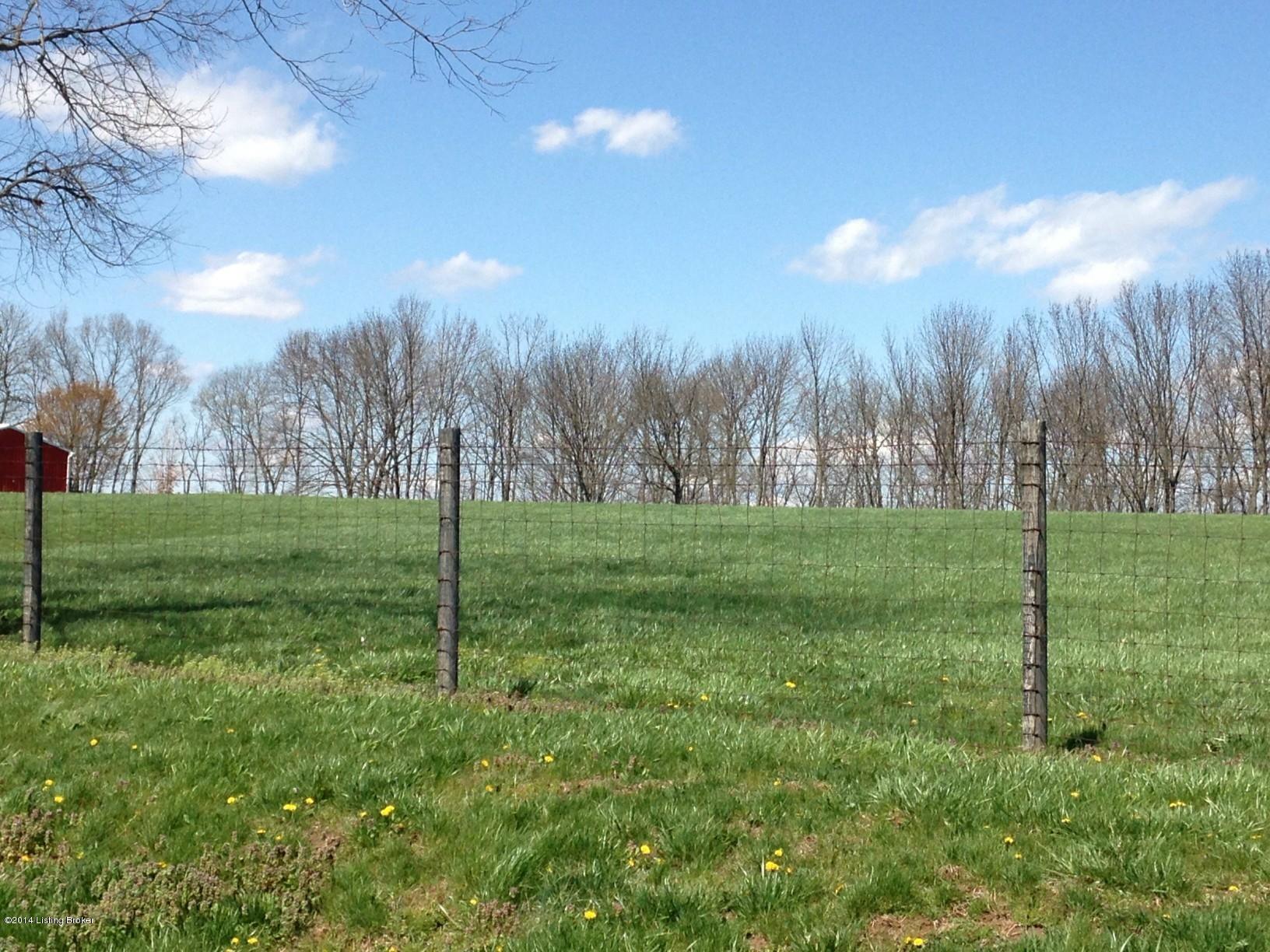 1044 Sulphur Road New Castle, KY 40050 - Photo 37 of 39 PASTURE