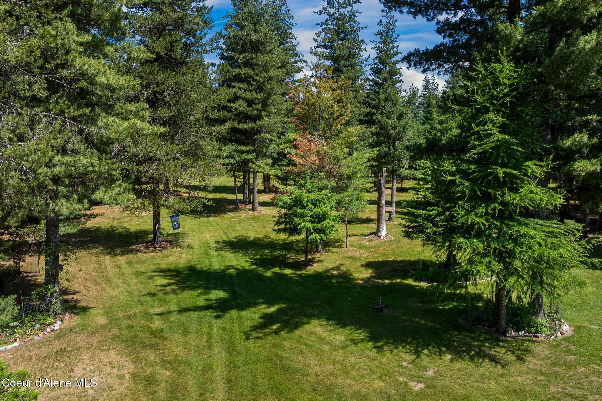 249 Indigo Sky Road Sandpoint, ID 83864 - Photo 57 of 66 Large variety of native trees