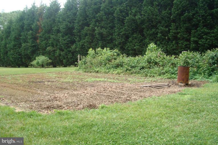 8595 Trinity Church Road Charlotte Hall, MD 20622 - Photo 14 of 18 Garden