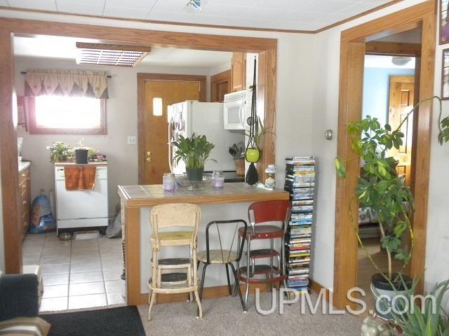 E8199 East Mill Street Ramsay, MI 49959 - Photo 18 of 18