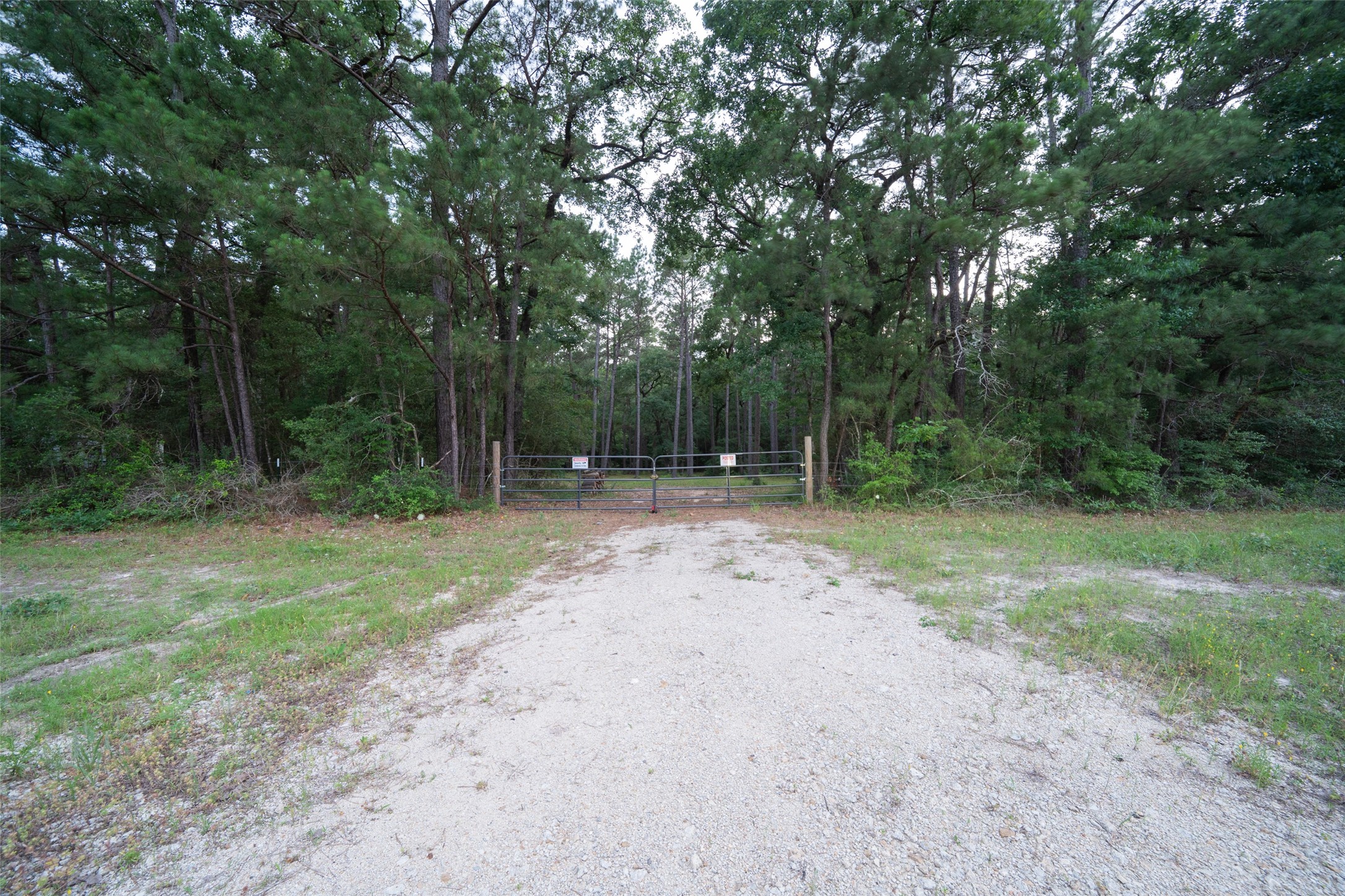 980 N Point North Huntsville, TX 77320 - Photo 5 of 45