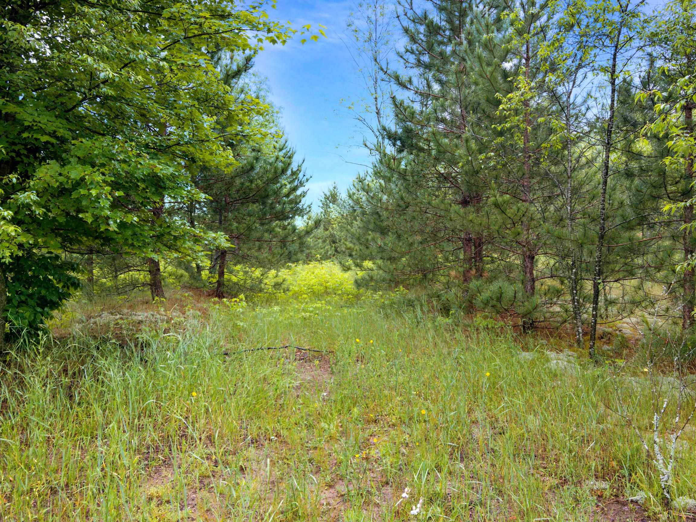 0 Maple Farms Lane Kingsley, MI 49649 - Photo 5 of 21 1947367-63d7c3e4-9567-4316-bc44-3408c018896a.JPG