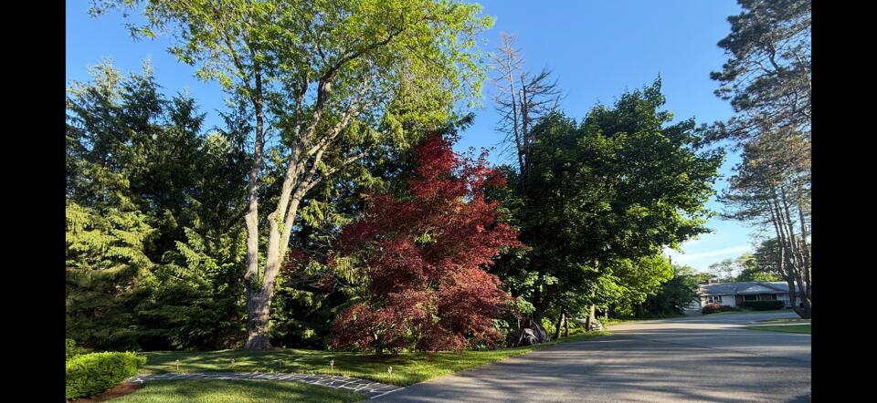 281 Clyde Road Bangor, ME 04401 - Photo 102 of 108 IMG_9183