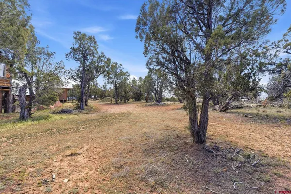 $179,000 | 144 Pinon Hills Circle, Arboles, CO 81121