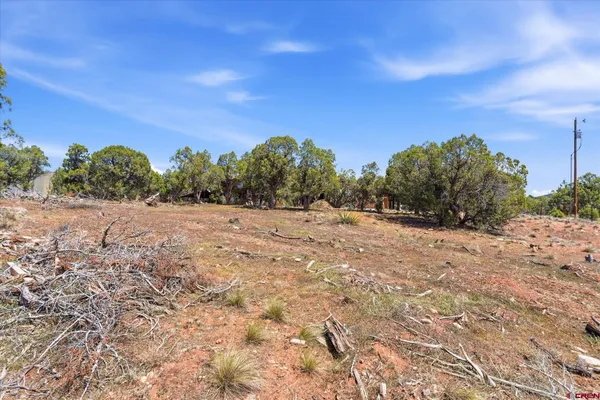 $179,000 | 144 Pinon Hills Circle, Arboles, CO 81121