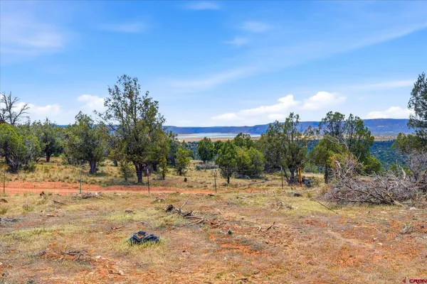 $179,000 | 144 Pinon Hills Circle, Arboles, CO 81121