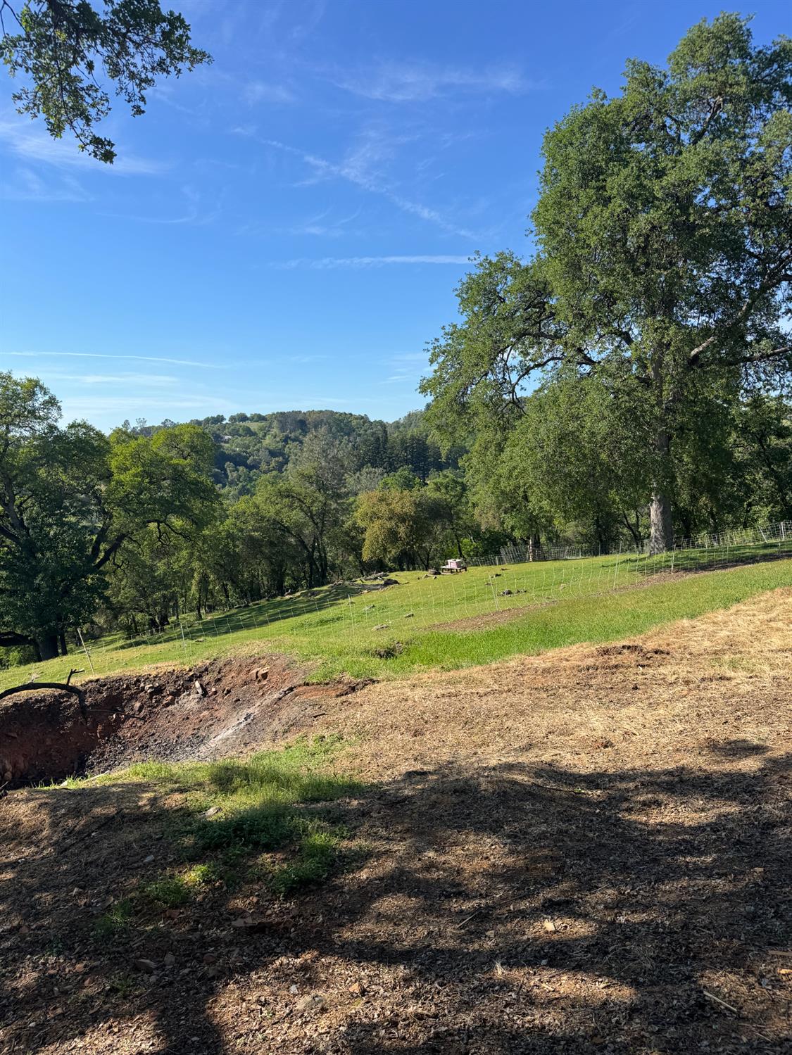 670 Stone House Road Auburn, CA 95603 - Photo 42 of 46 a view of a field with a trees