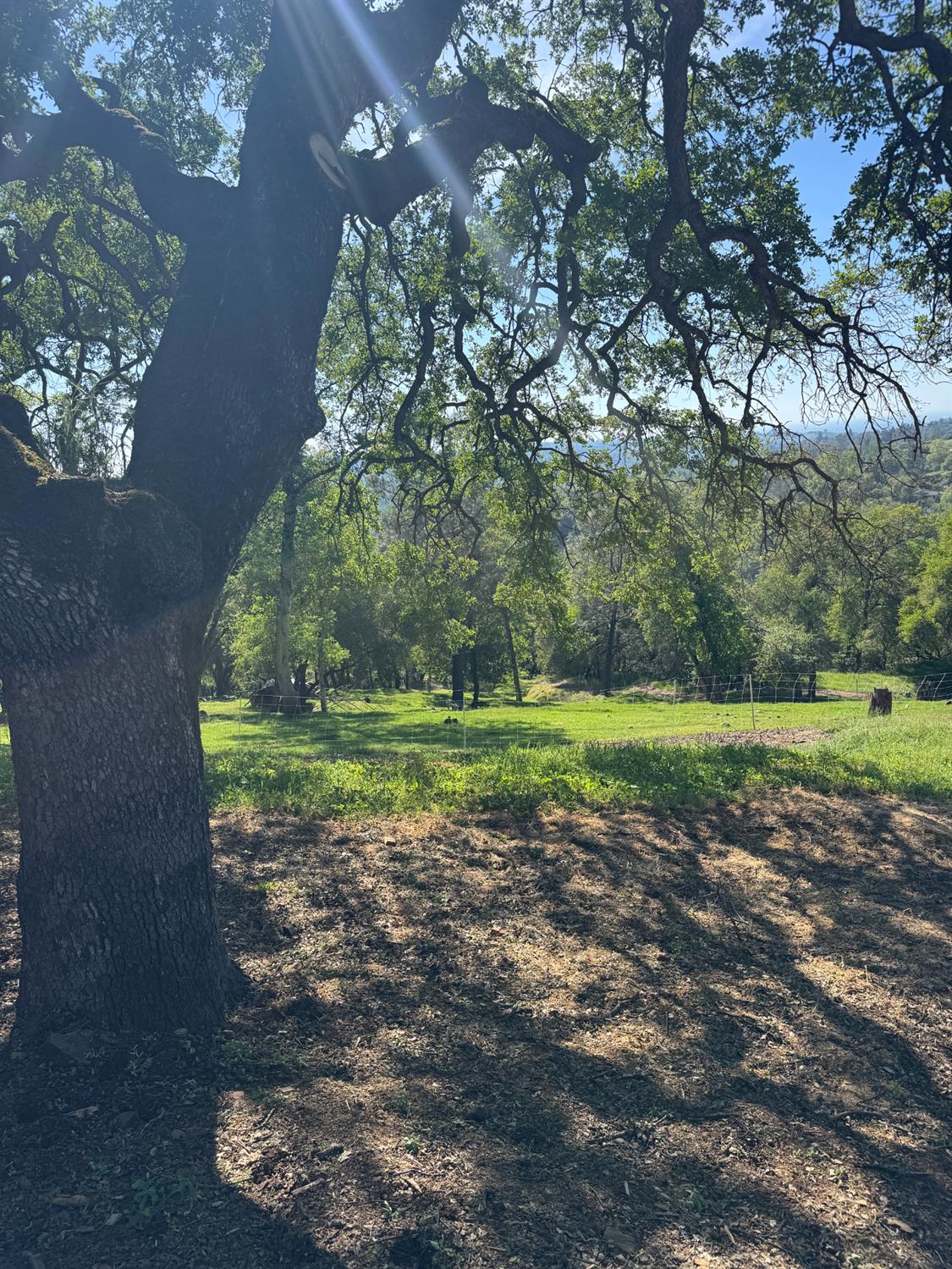 670 Stone House Road Auburn, CA 95603 - Photo 43 of 46 a view of a park