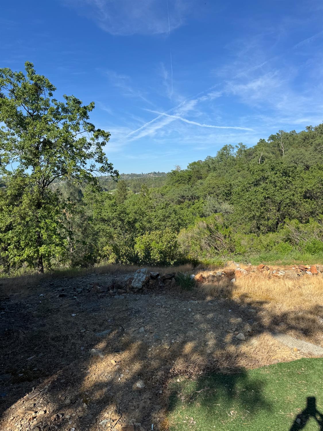 670 Stone House Road Auburn, CA 95603 - Photo 44 of 46 a view of a yard with a tree