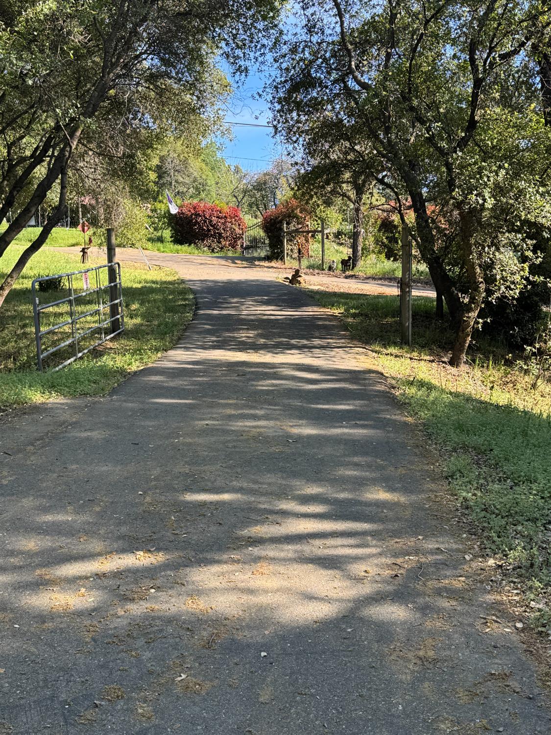 670 Stone House Road Auburn, CA 95603 - Photo 45 of 46 a view of a yard with yellow lighting