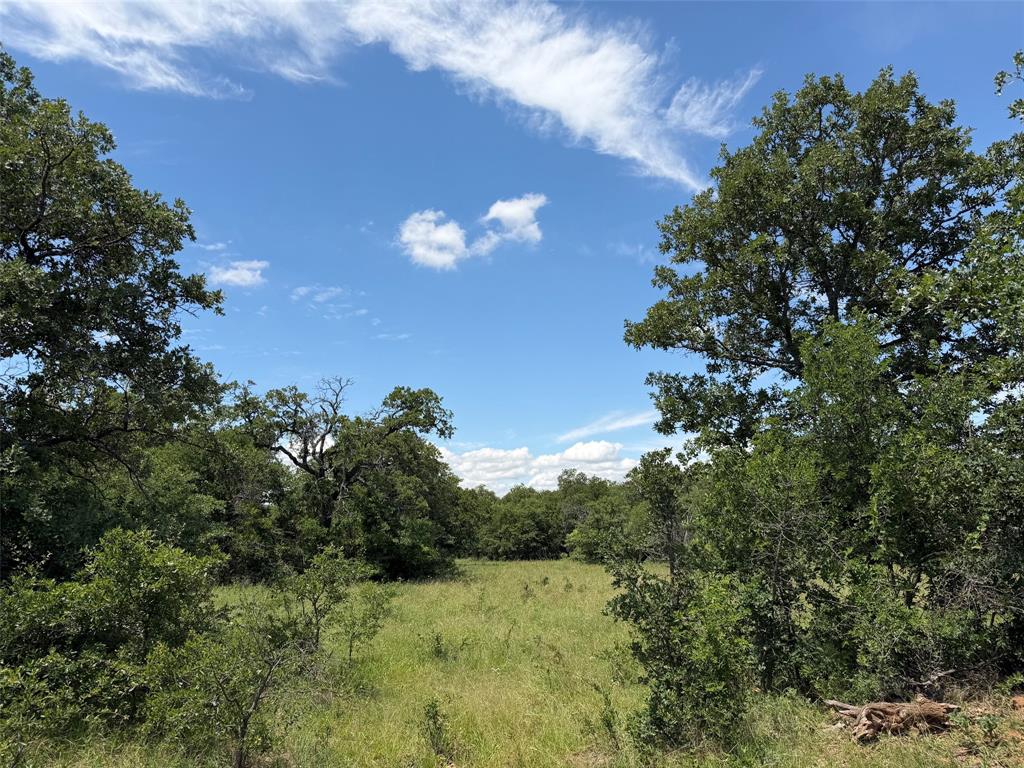 0 Rux Road Olney, TX 76374 - Photo 6 of 12 a view of a yard