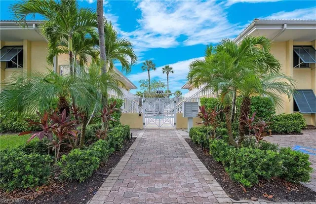 a view of a pathway with plants