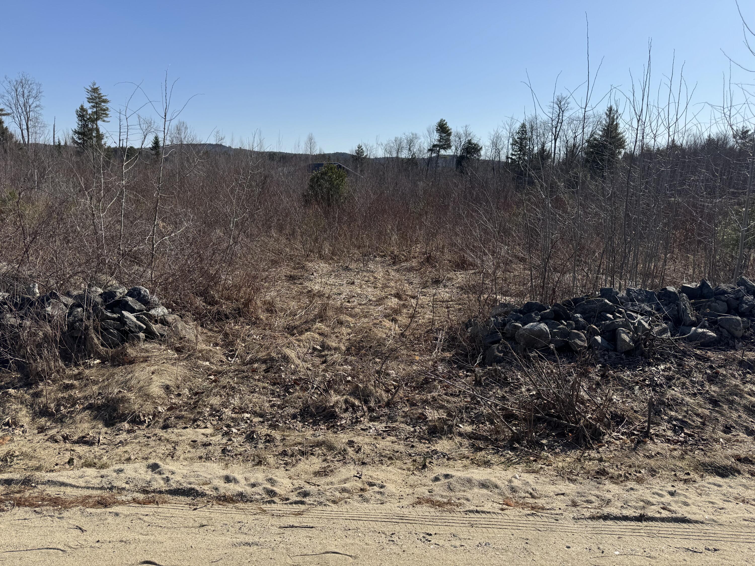 Lot 2 Paris Hill Road Paris, ME 04281 - Photo 2 of 15 IMG_0934